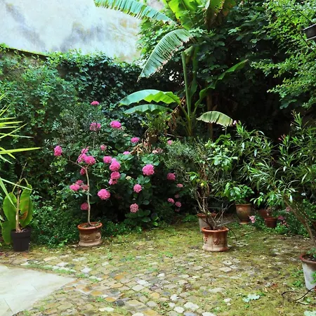 Apartment Let's Take A Walk In The Woods