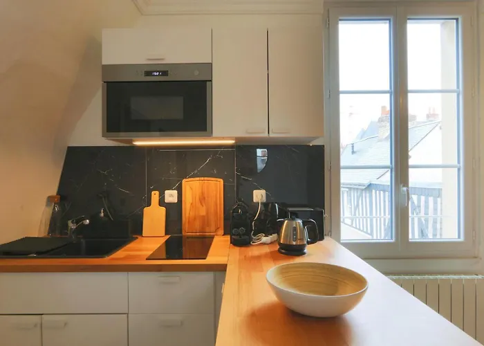 Let's Take A Walk In The Woods *