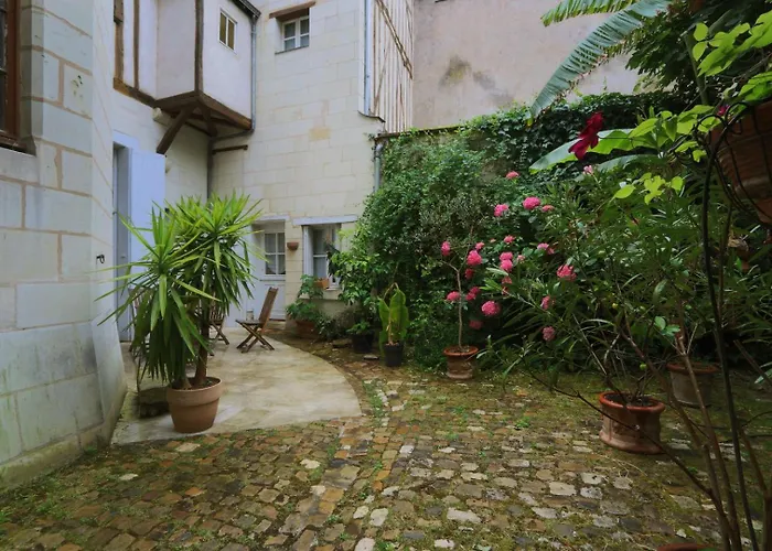 Let's Take A Walk In The Woods